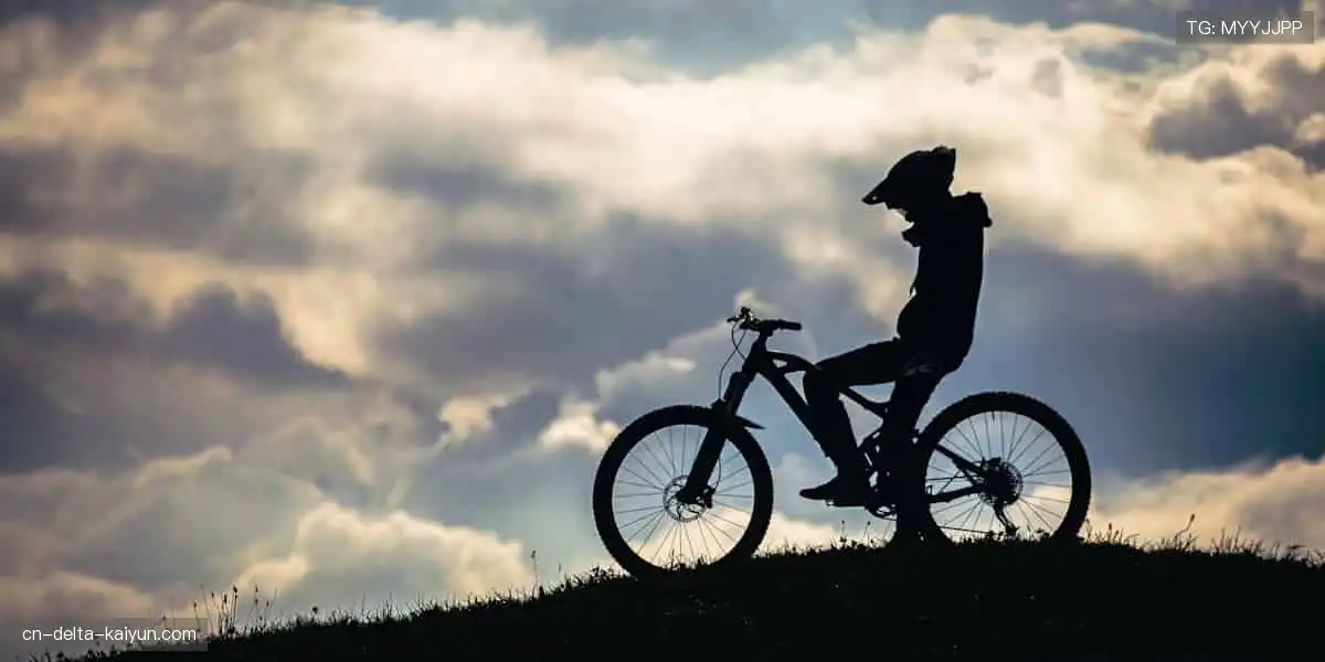 💬 弹幕狂欢,与百万球迷共享胜利喜悦!🎉